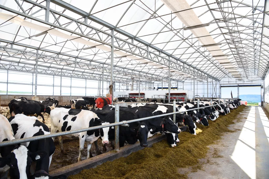 Projet Ferme Miclerc 2