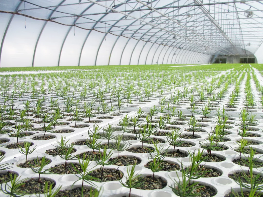 Ovaltech horticole fin interieur forestry