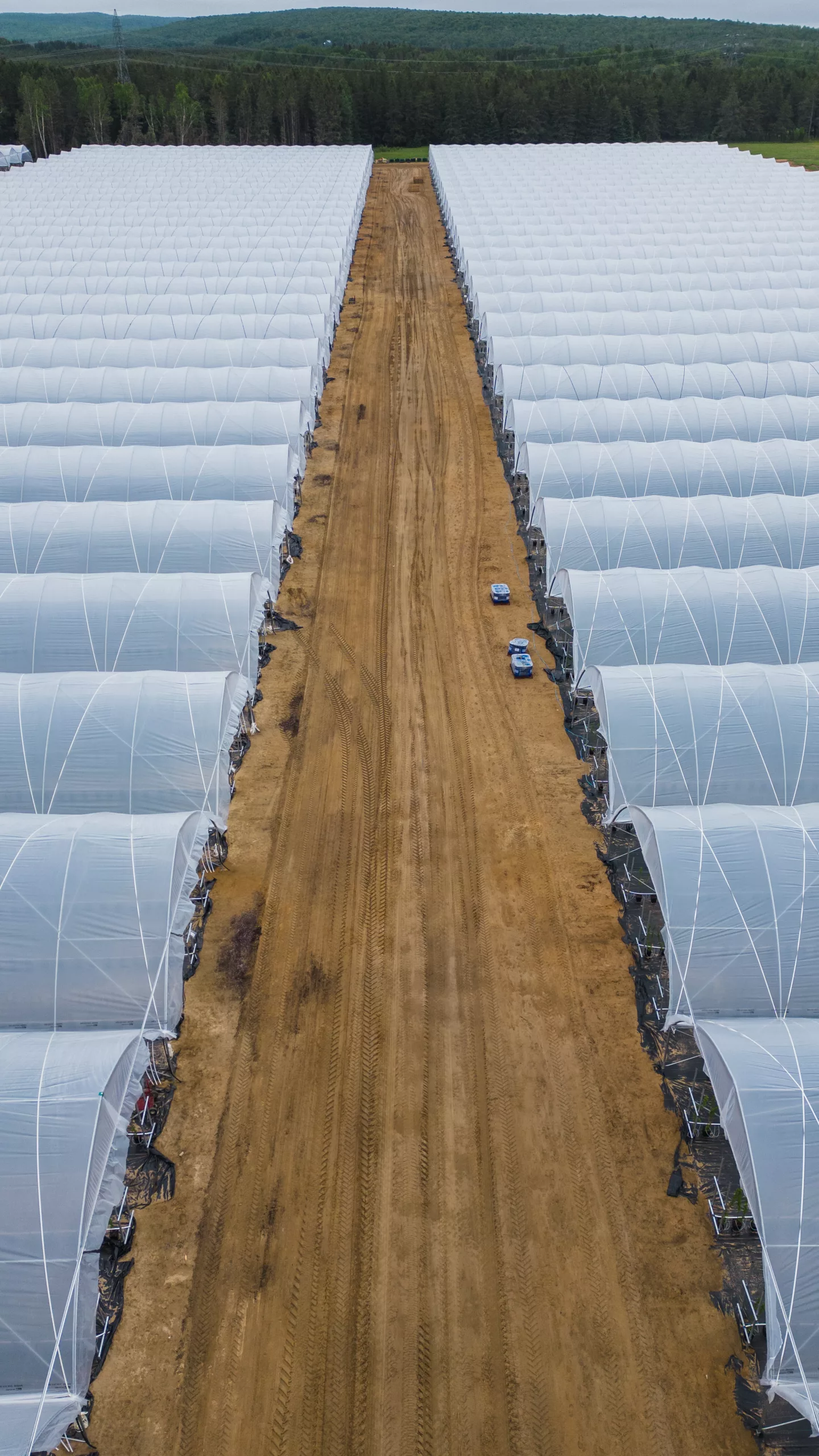 Fabricante de invernaderos 16 HARNOIS Lac des Ecorces Juin 2024 EDIT 38 scaled