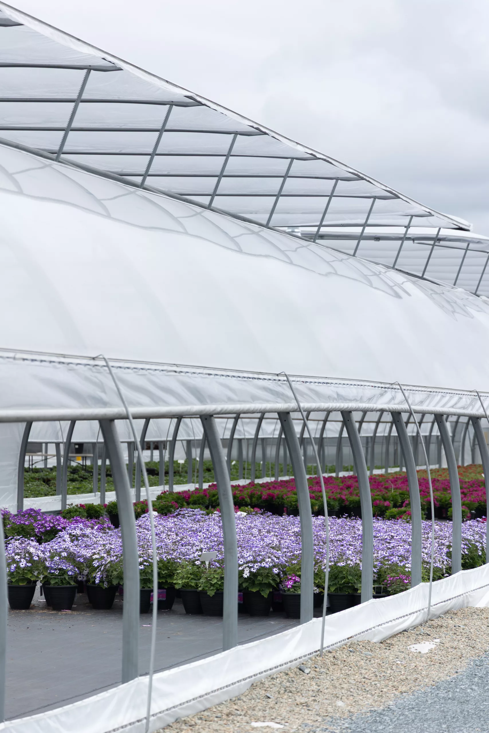 serres professionnelles harnois au Canada