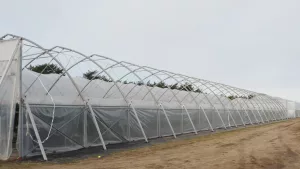 P1011190 scaled e1770776844331