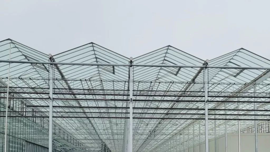 Vermax Venlo glass greenhouse for commercial horticulture