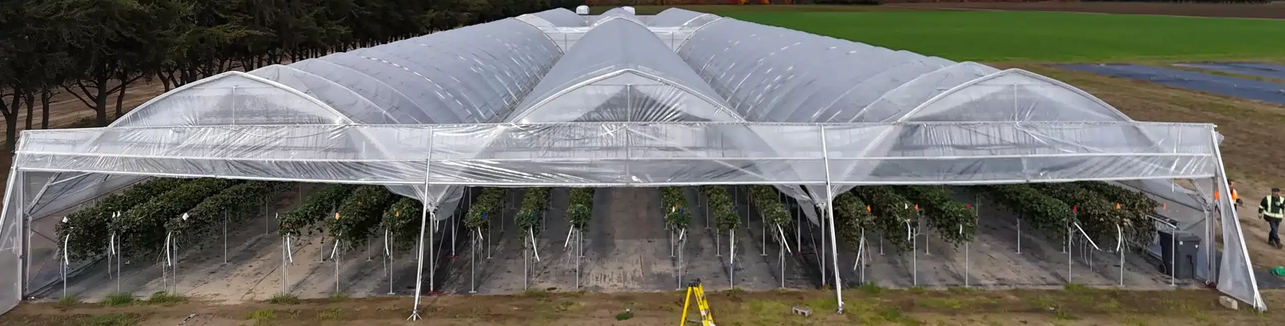 Invernaderos multitúnel 7 ommercial Greenhouse Buying Guide