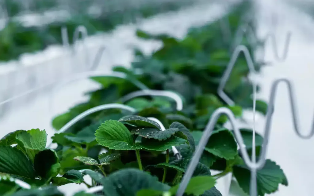 IMG 7367 scaled e1772053386898