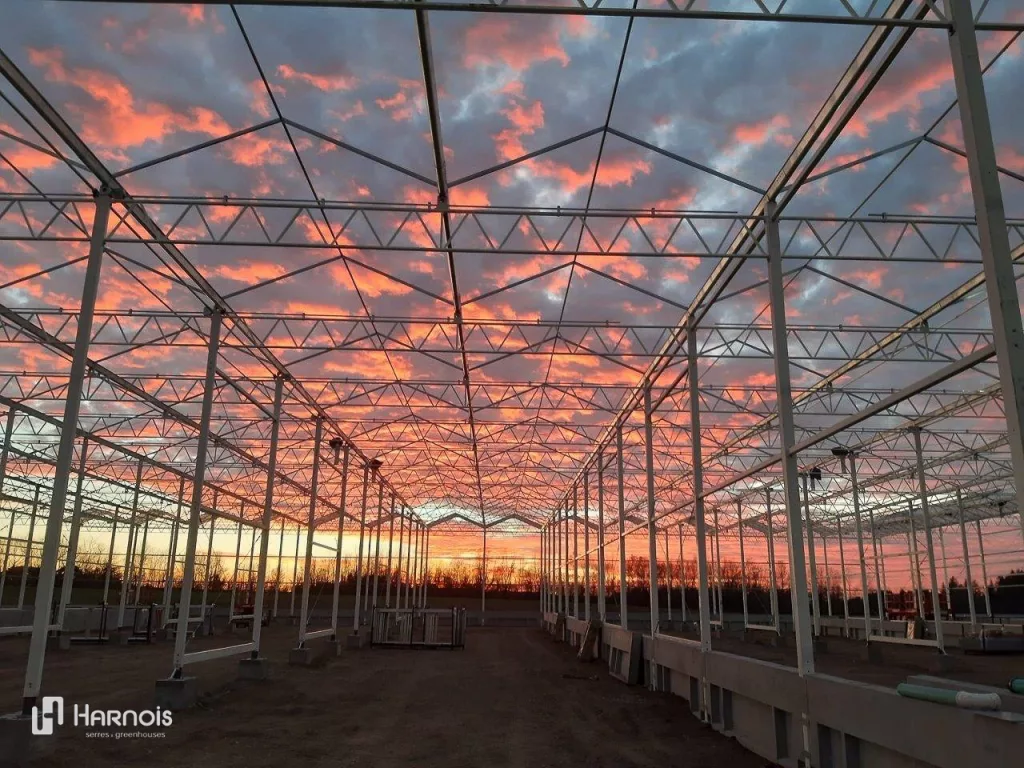 Harnois Greenhouses Vermax 04