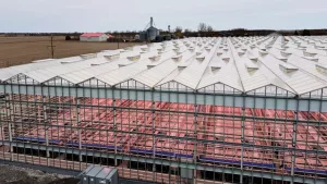 Invernaderos de vidrio Venlo 8 3