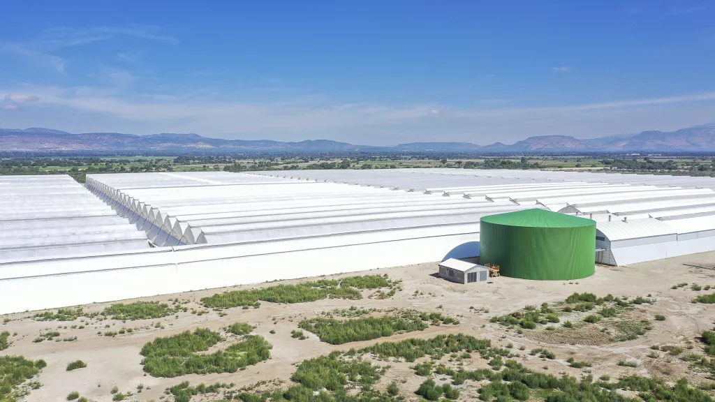 proyectos de invernaderos comerciales Harnois México