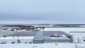 Invernaderos de vidrio Venlo 1 DJI 20251204011816 0030 D clean