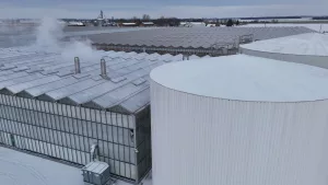 Invernaderos de vidrio Venlo 9 DJI 20251204012646 0036 D