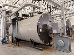 Invernaderos de vidrio Venlo 5 IMG 0616