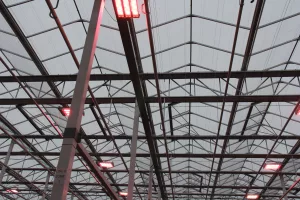 Invernaderos de vidrio Venlo 2 IMG 1026